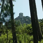 Bel Avec Vue Sur - Les Palmiers * Cagnano