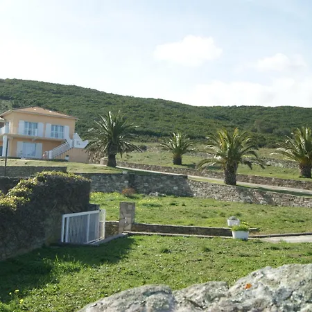 Bel Avec Vue Sur - Les Palmiers
