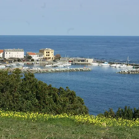 Bel Avec Vue Sur - Les Palmiers アパート