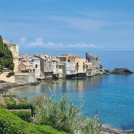 Bel Avec Vue Sur - Les Palmiers * Cagnano