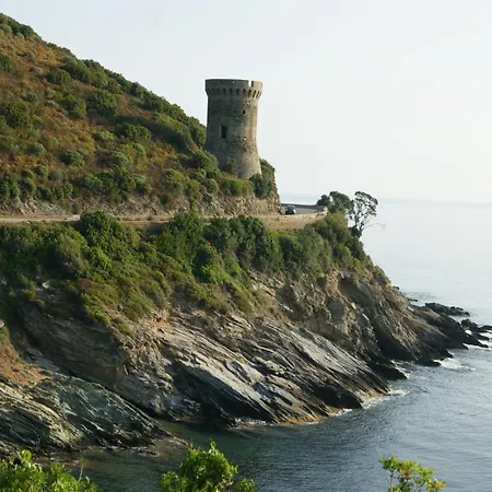 Bel Avec Vue Sur - Les Palmiers アパート