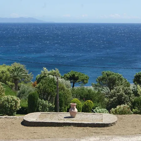 Bel Avec Vue Sur - Les Palmiers Lejlighed