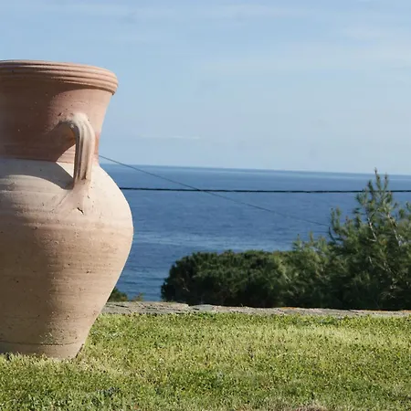 Bel Avec Vue Sur - Les Palmiers *