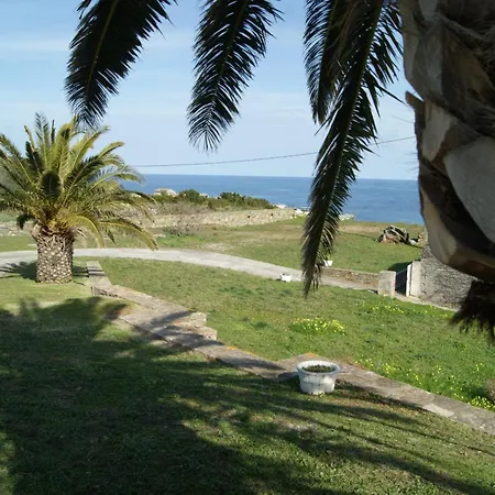 Bel Avec Vue Sur - Les Palmiers Apartmán Cagnano