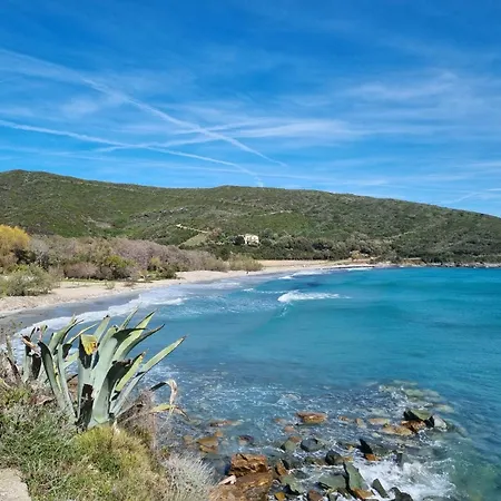 Bel Avec Vue Sur - Les Palmiers Lejlighed Cagnano