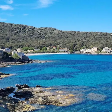 Bel Avec Vue Sur - Les Palmiers Lejlighed