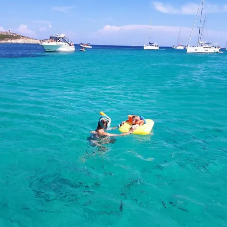 Bel Avec Vue Sur - Les Palmiers Lägenhet Cagnano