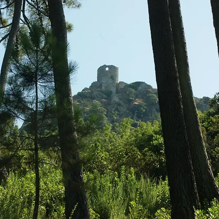 Bel Avec Vue Sur - Les Palmiers * Cagnano