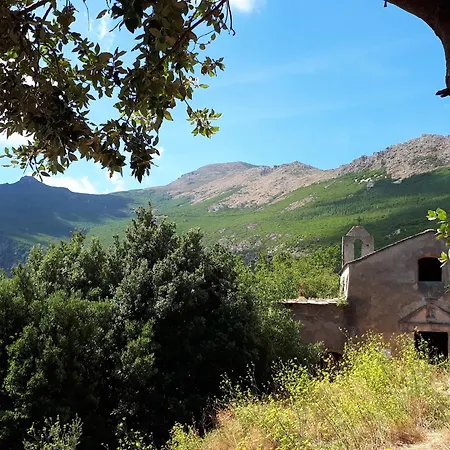 Bel Avec Vue Sur - Les Palmiers