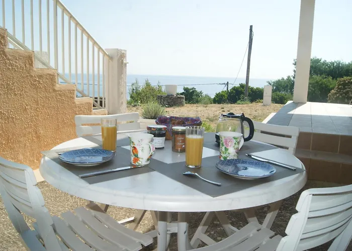 Bel Avec Vue Sur - Les Palmiers Cagnano