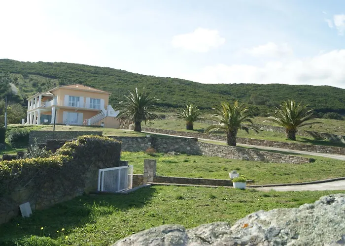 Bel Avec Vue Sur - Les Palmiers