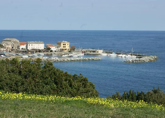 Bel Avec Vue Sur - Les Palmiers Appartement