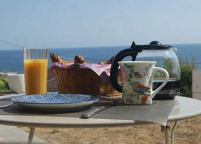 Appartement Bel Avec Vue Sur - Les Palmiers *