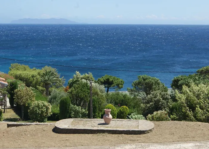 Bel Avec Vue Sur - Les Palmiers Appartement