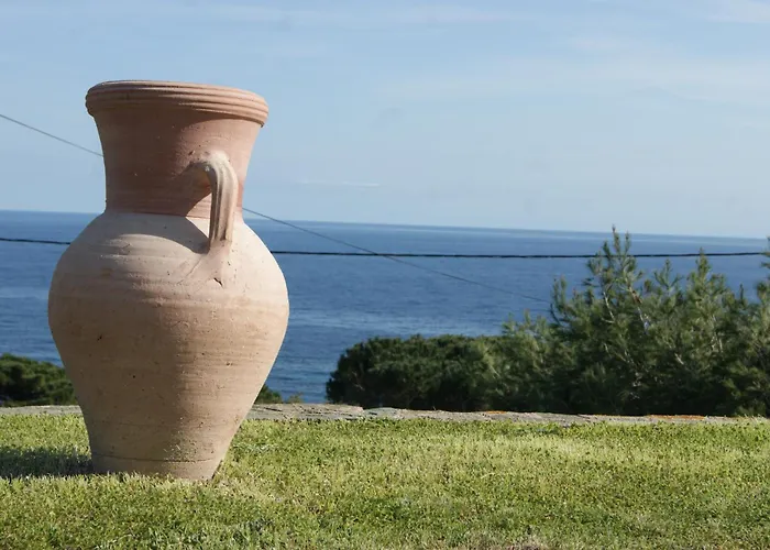 Bel Avec Vue Sur - Les Palmiers *
