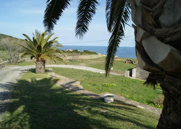 Bel Avec Vue Sur - Les Palmiers Lägenhet Cagnano