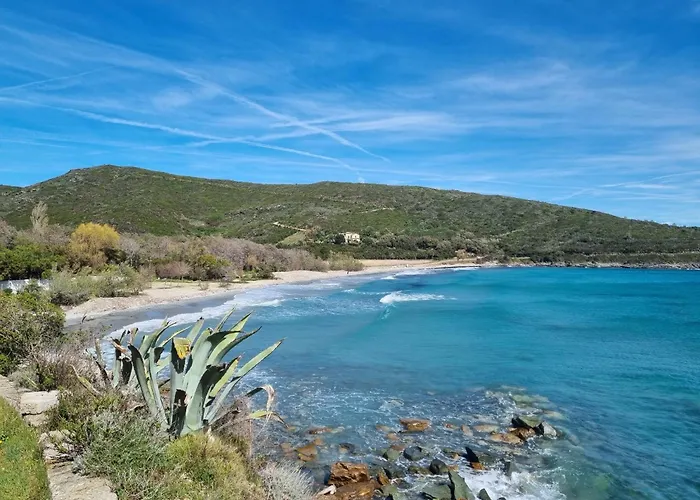 Bel Avec Vue Sur - Les Palmiers Appartement Cagnano