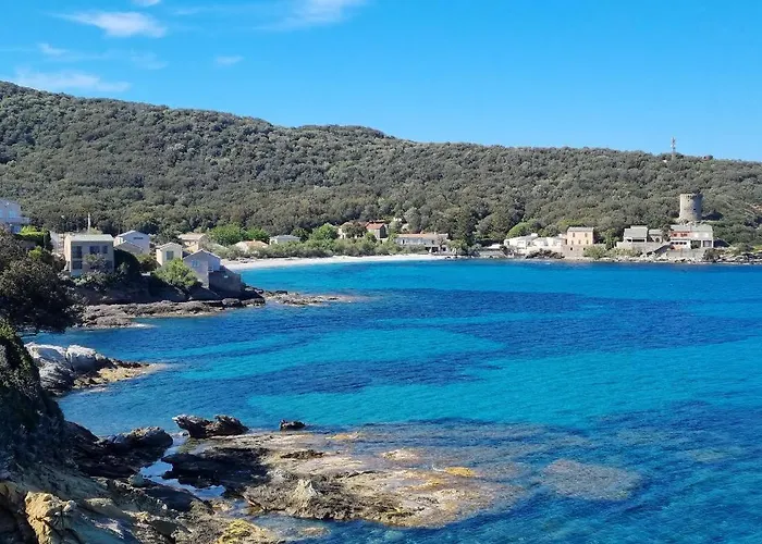 Bel Avec Vue Sur - Les Palmiers Lägenhet