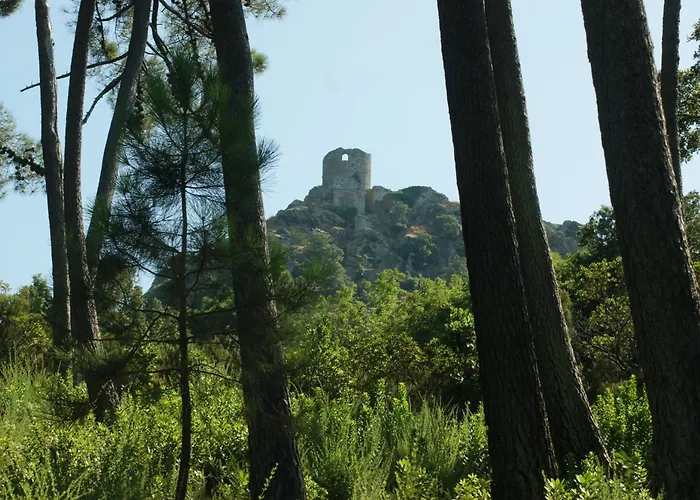 Bel Avec Vue Sur - Les Palmiers * Cagnano