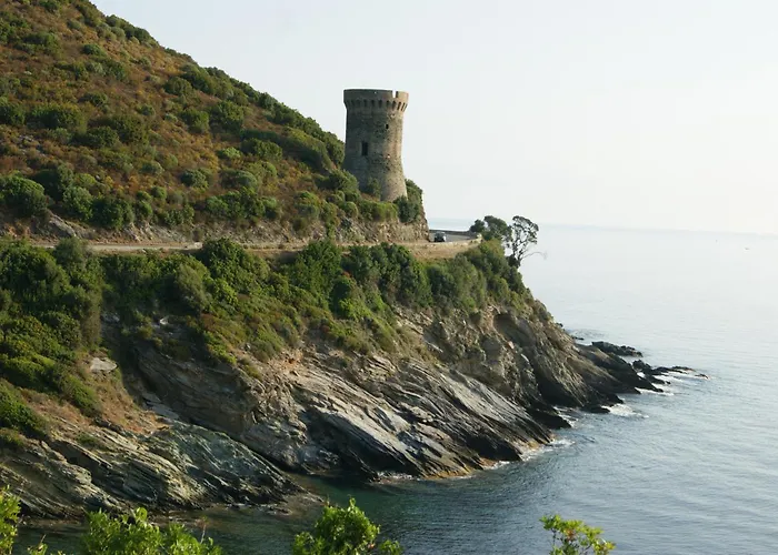 Bel Avec Vue Sur - Les Palmiers Appartement