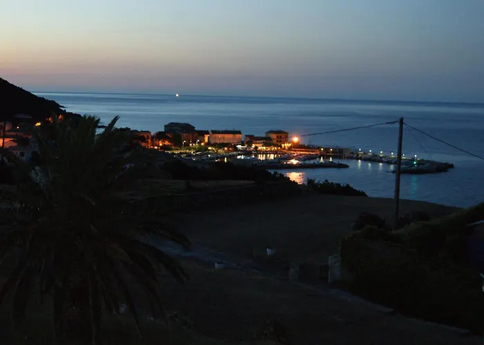 Bel Avec Vue Sur - Les Palmiers * Cagnano