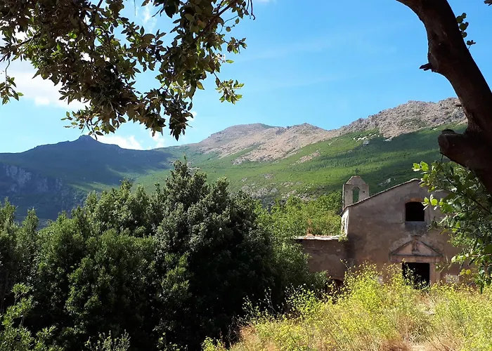 Bel Avec Vue Sur - Les Palmiers